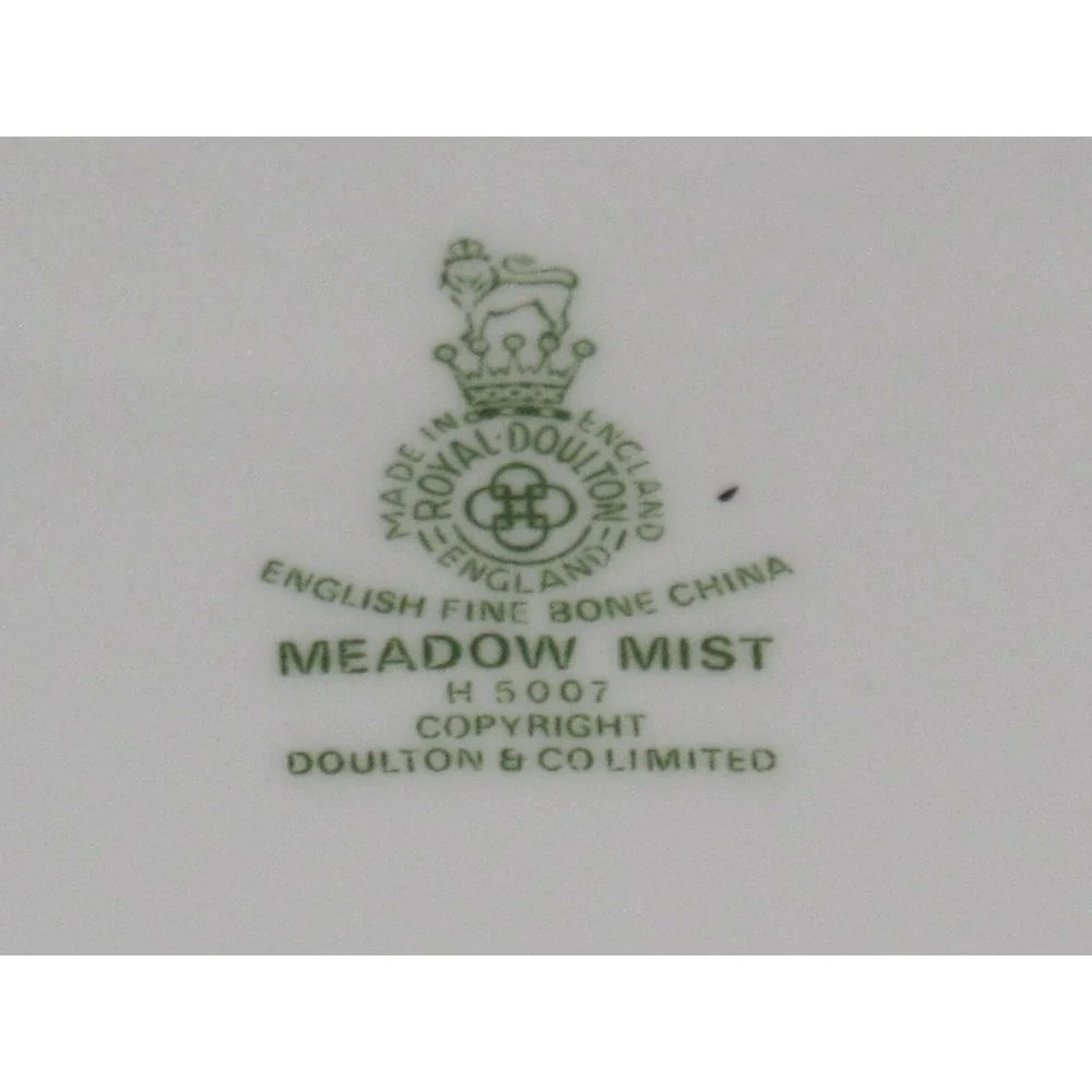 Royal Doulton Meadow Mist Five‎ Piece Place Setting (s) Dinner Plate Cup